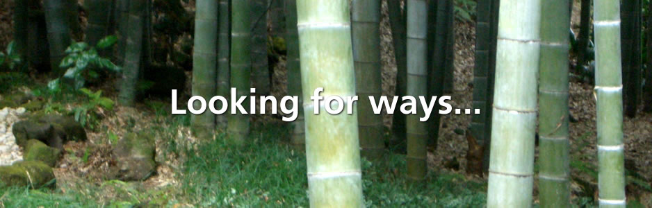 Looking for ways