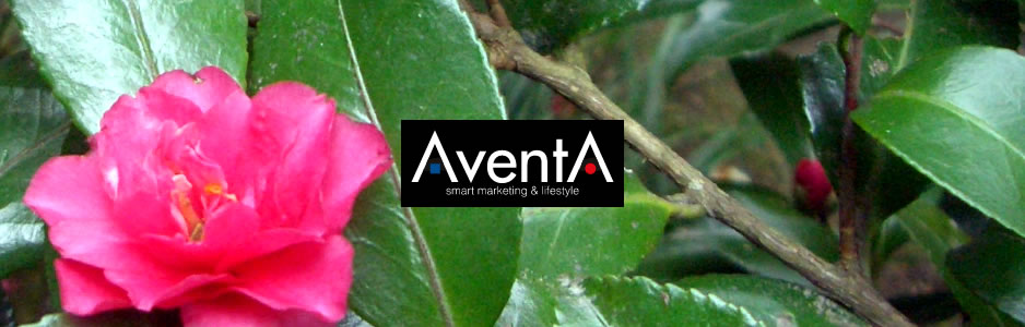 AventA